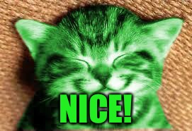 happy RayCat | NICE! | image tagged in happy raycat | made w/ Imgflip meme maker