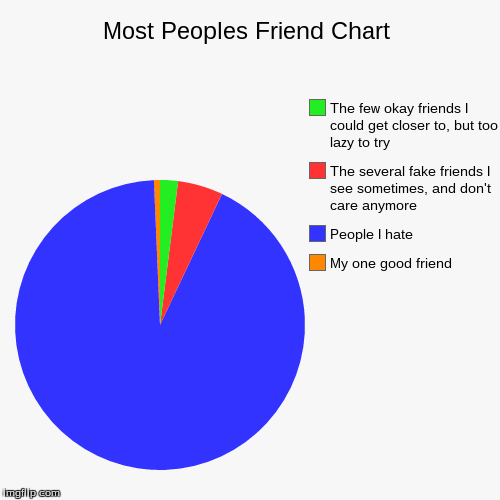 My Pie Chart | image tagged in funny,pie charts,school,friends,true | made w/ Imgflip chart maker