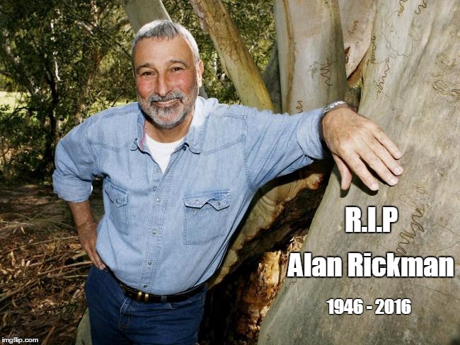 R.I.P; Alan Rickman; 1946 - 2016 | image tagged in rip,hansgruber,alanrickman,donburke | made w/ Imgflip meme maker