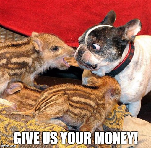 GIVE US YOUR MONEY! | image tagged in cute puppy | made w/ Imgflip meme maker