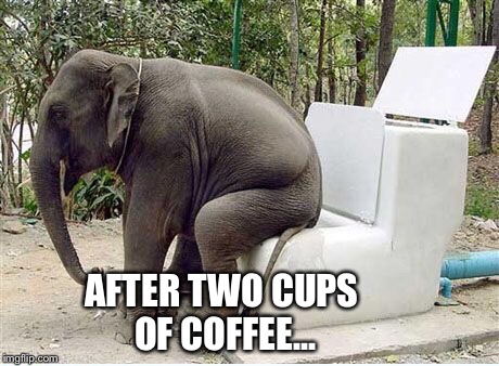 AFTER TWO CUPS OF COFFEE... | image tagged in dumping dumbo | made w/ Imgflip meme maker
