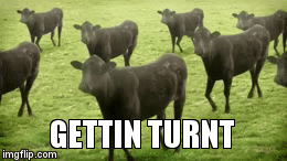 Getting Turnt Meme Turnt! - Imgflip