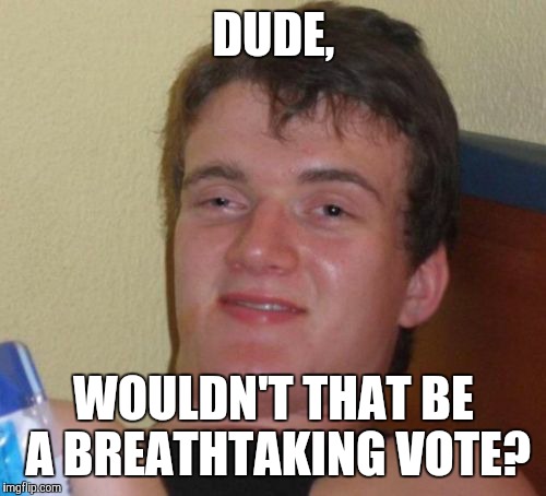 10 Guy Meme | DUDE, WOULDN'T THAT BE A BREATHTAKING VOTE? | image tagged in memes,10 guy | made w/ Imgflip meme maker