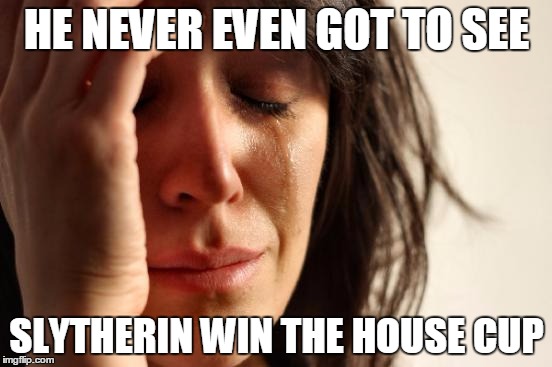 First World Problems | HE NEVER EVEN GOT TO SEE; SLYTHERIN WIN THE HOUSE CUP | image tagged in memes,first world problems | made w/ Imgflip meme maker