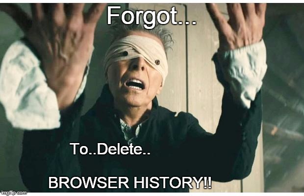 Forgot... To..Delete..
                                                        




BROWSER HISTORY!! | image tagged in david bowie,browser,lamentation | made w/ Imgflip meme maker