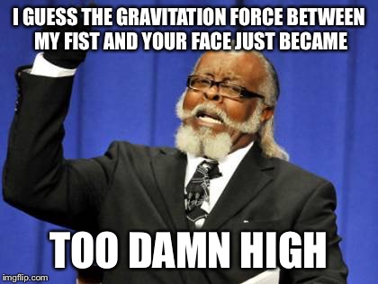 Too Damn High | I GUESS THE GRAVITATION FORCE BETWEEN MY FIST AND YOUR FACE JUST BECAME; TOO DAMN HIGH | image tagged in memes,too damn high | made w/ Imgflip meme maker