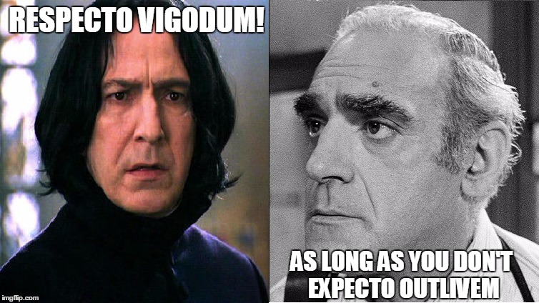 Abe Outlives Snape | RESPECTO VIGODUM! AS LONG AS YOU DON'T EXPECTO OUTLIVEM | image tagged in abe vigoda lives | made w/ Imgflip meme maker