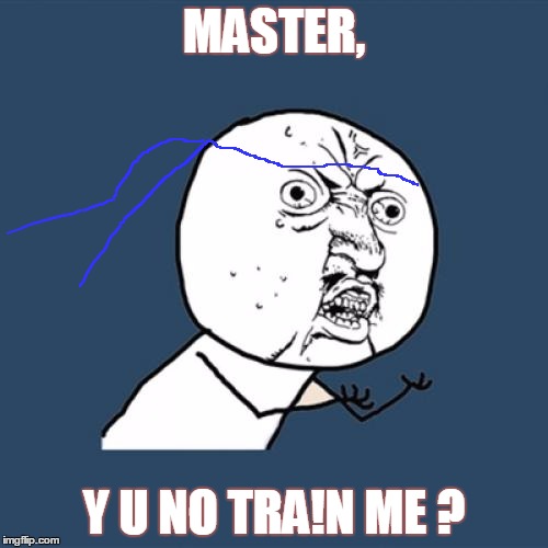 Y U No | MASTER, Y U NO TRA!N ME ? | image tagged in memes,y u no | made w/ Imgflip meme maker