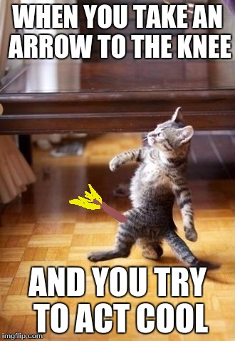 Cool Cat Stroll | WHEN YOU TAKE AN ARROW TO THE KNEE; AND YOU TRY TO ACT COOL | image tagged in memes,cool cat stroll | made w/ Imgflip meme maker