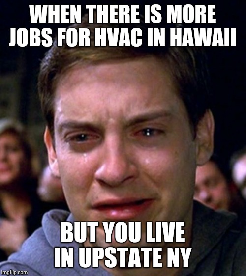 crying peter parker | WHEN THERE IS MORE JOBS FOR HVAC IN HAWAII; BUT YOU LIVE IN UPSTATE NY | image tagged in crying peter parker | made w/ Imgflip meme maker