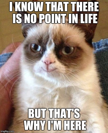 Smiling grumpy cat | I KNOW THAT THERE IS NO POINT IN LIFE; BUT THAT'S WHY I'M HERE | image tagged in smiling grumpy cat | made w/ Imgflip meme maker