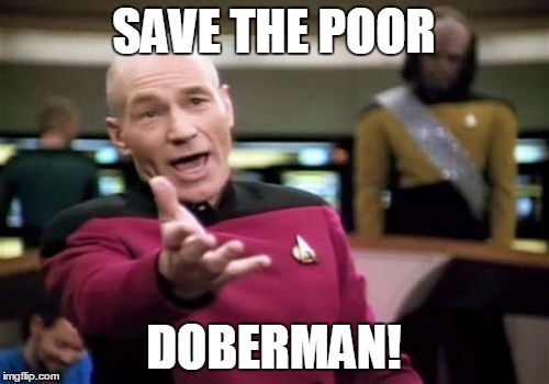 Picard Wtf Meme | SAVE THE POOR DOBERMAN! | image tagged in memes,picard wtf | made w/ Imgflip meme maker