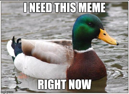 Actual Advice Mallard | I NEED THIS MEME; RIGHT NOW | image tagged in memes,actual advice mallard | made w/ Imgflip meme maker