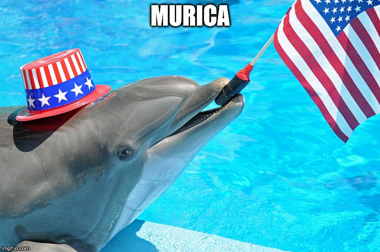 MuricaDolphin | MURICA | image tagged in muricadolphin | made w/ Imgflip meme maker