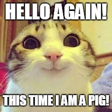 potatos and catshi crazy | HELLO AGAIN! THIS TIME I AM A PIG! | image tagged in potatos and catshi crazy | made w/ Imgflip meme maker