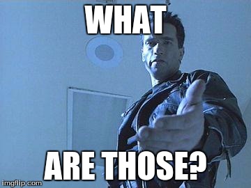 Terminator | WHAT; ARE THOSE? | image tagged in terminator | made w/ Imgflip meme maker