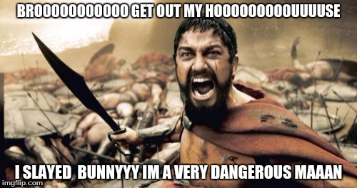 Sparta Leonidas Meme | BROOOOOOOOOOO GET OUT MY HOOOOOOOOOUUUUSE; I SLAYED  BUNNYYY IM A VERY DANGEROUS MAAAN | image tagged in memes,sparta leonidas | made w/ Imgflip meme maker