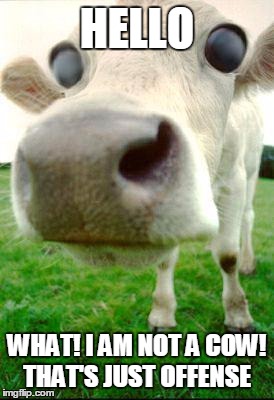 Scary Cow | HELLO; WHAT! I AM NOT A COW! THAT'S JUST OFFENSE | image tagged in scary cow | made w/ Imgflip meme maker