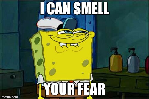 Don't You Squidward Meme | I CAN SMELL; YOUR FEAR | image tagged in memes,dont you squidward | made w/ Imgflip meme maker