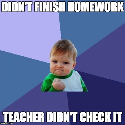 Success Kid | DIDN'T FINISH HOMEWORK; TEACHER DIDN'T CHECK IT | image tagged in memes,success kid | made w/ Imgflip meme maker