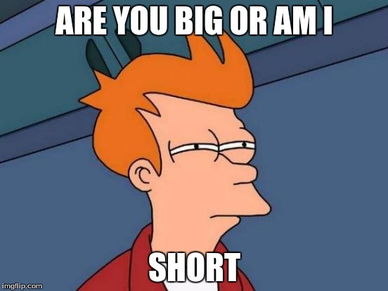 Futurama Fry | ARE YOU BIG OR AM I; SHORT | image tagged in memes,futurama fry | made w/ Imgflip meme maker
