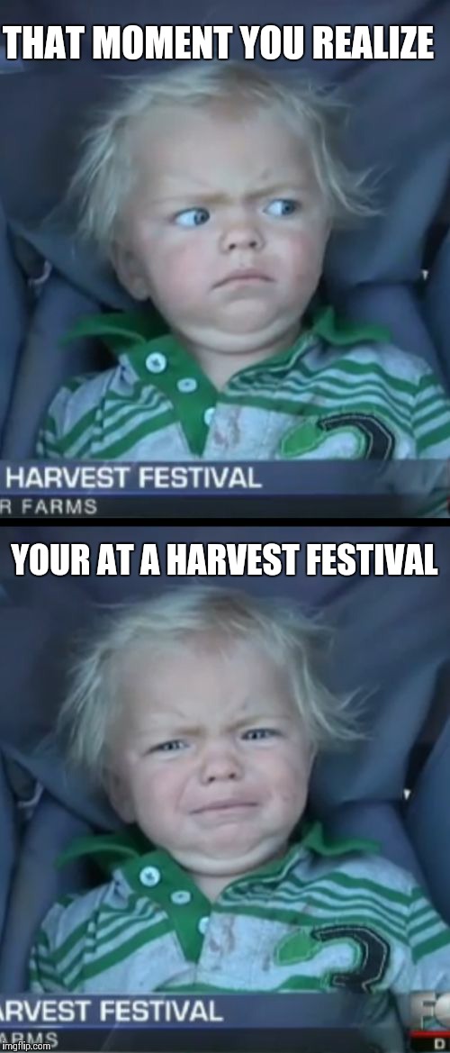 Baby Cry | THAT MOMENT YOU REALIZE; YOUR AT A HARVEST FESTIVAL | image tagged in memes,baby cry | made w/ Imgflip meme maker