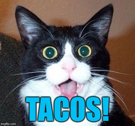 whoa cat | TACOS! | image tagged in whoa cat | made w/ Imgflip meme maker