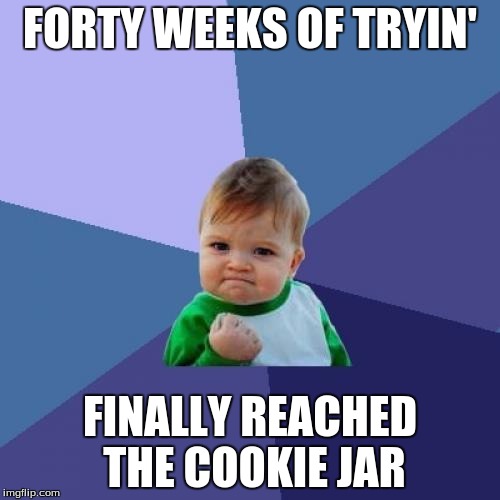 Success Kid | FORTY WEEKS OF TRYIN'; FINALLY REACHED THE COOKIE JAR | image tagged in memes,success kid | made w/ Imgflip meme maker