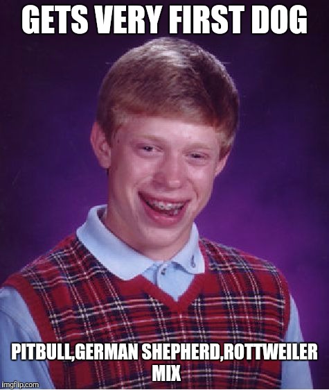 Bad Luck Brian Meme | GETS VERY FIRST DOG; PITBULL,GERMAN SHEPHERD,ROTTWEILER MIX | image tagged in memes,bad luck brian | made w/ Imgflip meme maker