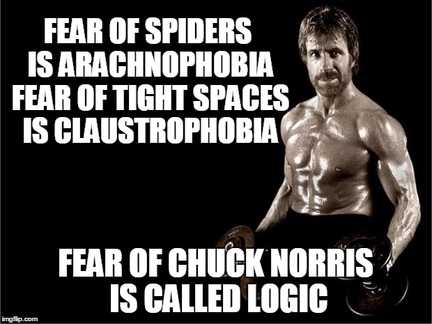 Chuck Norris Lifting | FEAR OF SPIDERS IS ARACHNOPHOBIA FEAR OF TIGHT SPACES IS CLAUSTROPHOBIA; FEAR OF CHUCK NORRIS IS CALLED LOGIC | image tagged in chuck norris lifting | made w/ Imgflip meme maker