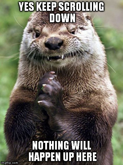 just keep scrolling down | YES KEEP SCROLLING DOWN; NOTHING WILL HAPPEN UP HERE | image tagged in memes,evil otter | made w/ Imgflip meme maker
