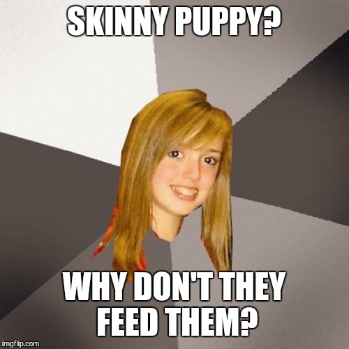 Musically Oblivious 8th Grader Meme | SKINNY PUPPY? WHY DON'T THEY FEED THEM? | image tagged in memes,musically oblivious 8th grader | made w/ Imgflip meme maker