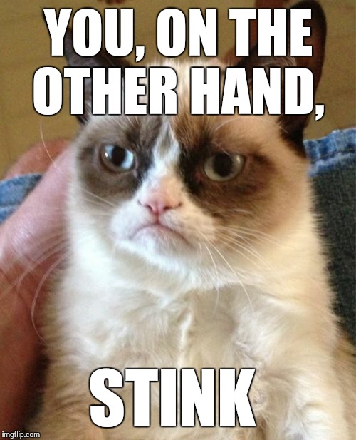 Grumpy Cat Meme | YOU, ON THE OTHER HAND, STINK | image tagged in memes,grumpy cat | made w/ Imgflip meme maker