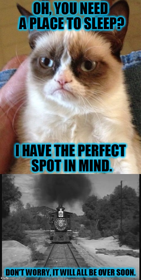 Keep calm and follow instructions | OH, YOU NEED A PLACE TO SLEEP? I HAVE THE PERFECT SPOT IN MIND. DON'T WORRY, IT WILL ALL BE OVER SOON. | image tagged in memes,grumpy cat,train,funny | made w/ Imgflip meme maker