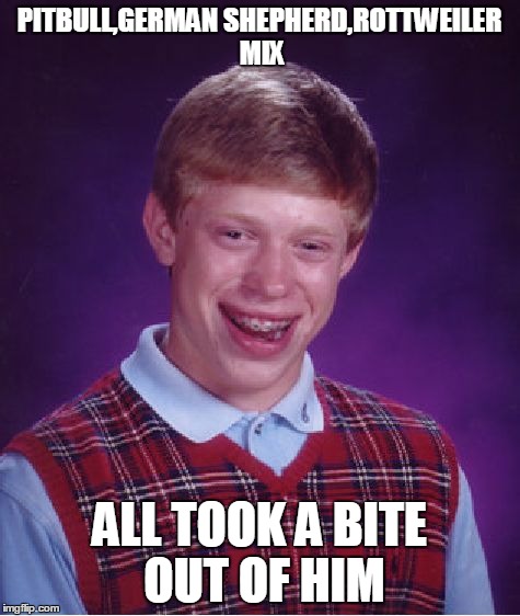Bad Luck Brian Meme | PITBULL,GERMAN SHEPHERD,ROTTWEILER MIX ALL TOOK A BITE OUT OF HIM | image tagged in memes,bad luck brian | made w/ Imgflip meme maker
