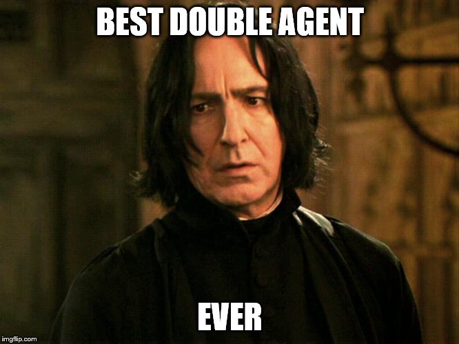 So bad, so good, so long. | BEST DOUBLE AGENT; EVER | image tagged in snape,alan rickman | made w/ Imgflip meme maker