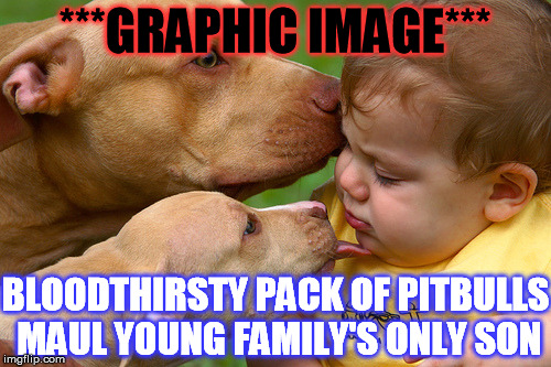 ***GRAPHIC IMAGE*** BLOODTHIRSTY PACK OF PITBULLS MAUL YOUNG FAMILY'S ONLY SON | made w/ Imgflip meme maker