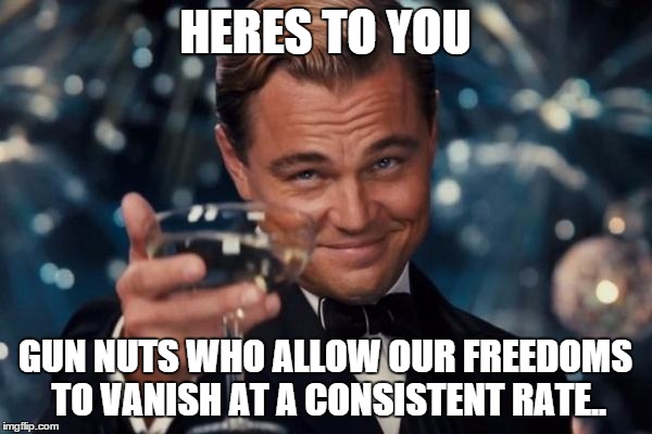 Leonardo Dicaprio Cheers Meme | HERES TO YOU GUN NUTS WHO ALLOW OUR FREEDOMS TO VANISH AT A CONSISTENT RATE.. | image tagged in memes,leonardo dicaprio cheers | made w/ Imgflip meme maker