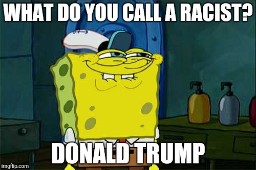 Don't You Squidward | WHAT DO YOU CALL A RACIST? DONALD TRUMP | image tagged in memes,dont you squidward | made w/ Imgflip meme maker
