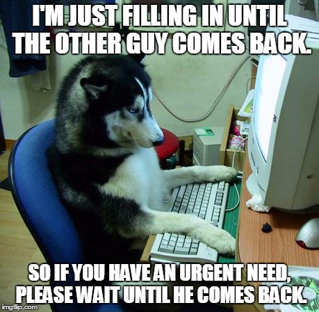 I Have No Idea What I Am Doing | I'M JUST FILLING IN UNTIL THE OTHER GUY COMES BACK. SO IF YOU HAVE AN URGENT NEED, PLEASE WAIT UNTIL HE COMES BACK. | image tagged in memes,i have no idea what i am doing | made w/ Imgflip meme maker