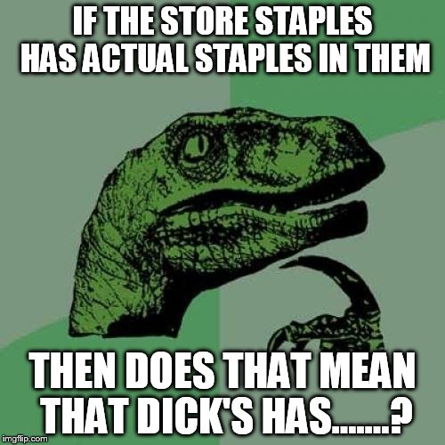 Philosoraptor Meme | IF THE STORE STAPLES HAS ACTUAL STAPLES IN THEM; THEN DOES THAT MEAN THAT DICK'S HAS.......? | image tagged in memes,philosoraptor | made w/ Imgflip meme maker