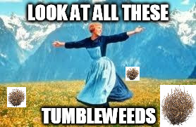 LOOK AT ALL THESE TUMBLEWEEDS | made w/ Imgflip meme maker