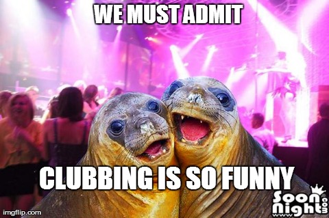 image tagged in omg seals,funny,animals | made w/ Imgflip meme maker