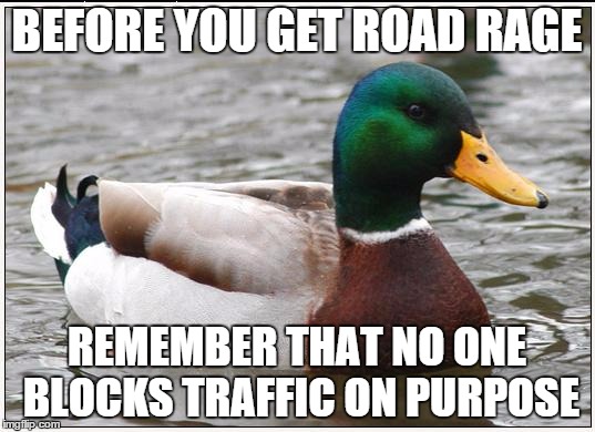 Actual Advice Mallard | BEFORE YOU GET ROAD RAGE; REMEMBER THAT NO ONE BLOCKS TRAFFIC ON PURPOSE | image tagged in memes,actual advice mallard | made w/ Imgflip meme maker