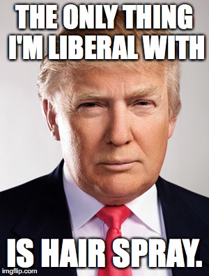 Donald Trump |  THE ONLY THING I'M LIBERAL WITH; IS HAIR SPRAY. | image tagged in donald trump | made w/ Imgflip meme maker