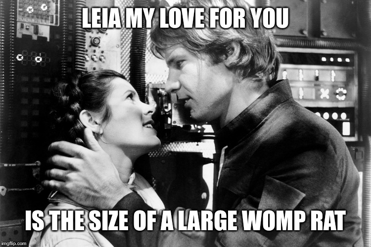 LEIA MY LOVE FOR YOU IS THE SIZE OF A LARGE WOMP RAT | made w/ Imgflip meme maker