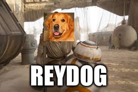 Oh yes I did. | REYDOG | image tagged in raydog,star wars,memes | made w/ Imgflip meme maker