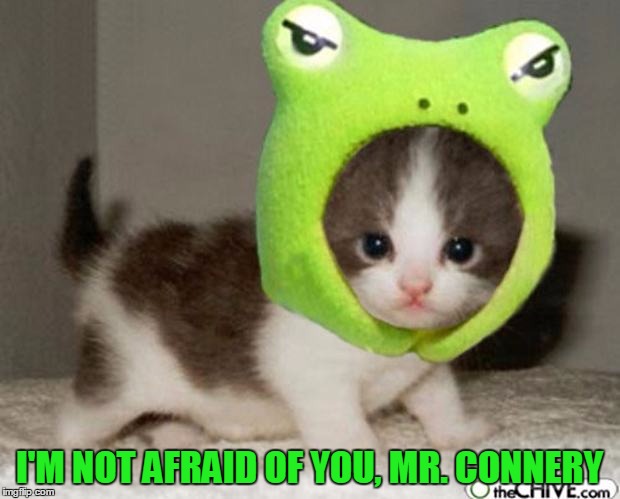 I got nine lives! | I'M NOT AFRAID OF YOU, MR. CONNERY | image tagged in memes,sean connery  kermit | made w/ Imgflip meme maker