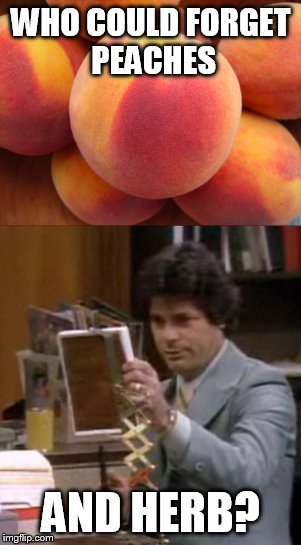 WHO COULD FORGET PEACHES AND HERB? | made w/ Imgflip meme maker