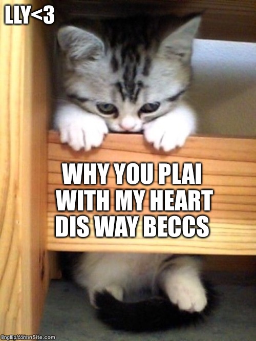LLY<3; WHY YOU PLAI WITH MY HEART DIS WAY BECCS | made w/ Imgflip meme maker